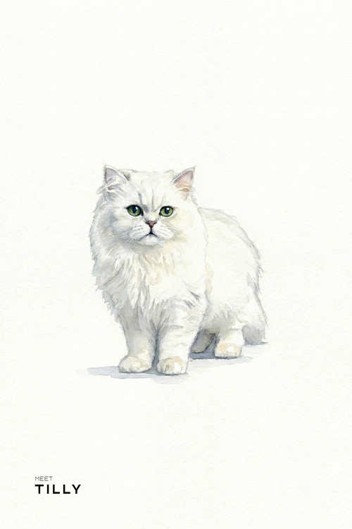 Custom Watercolor Pet Portrait | High Resolution Digital File